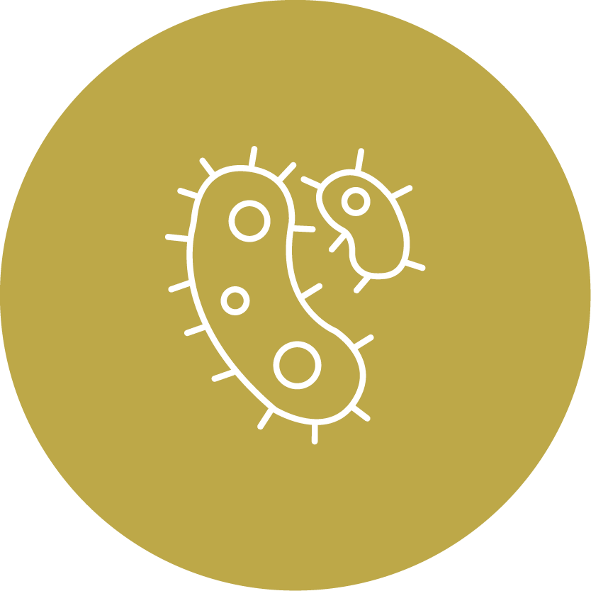 Icon antibakteriell