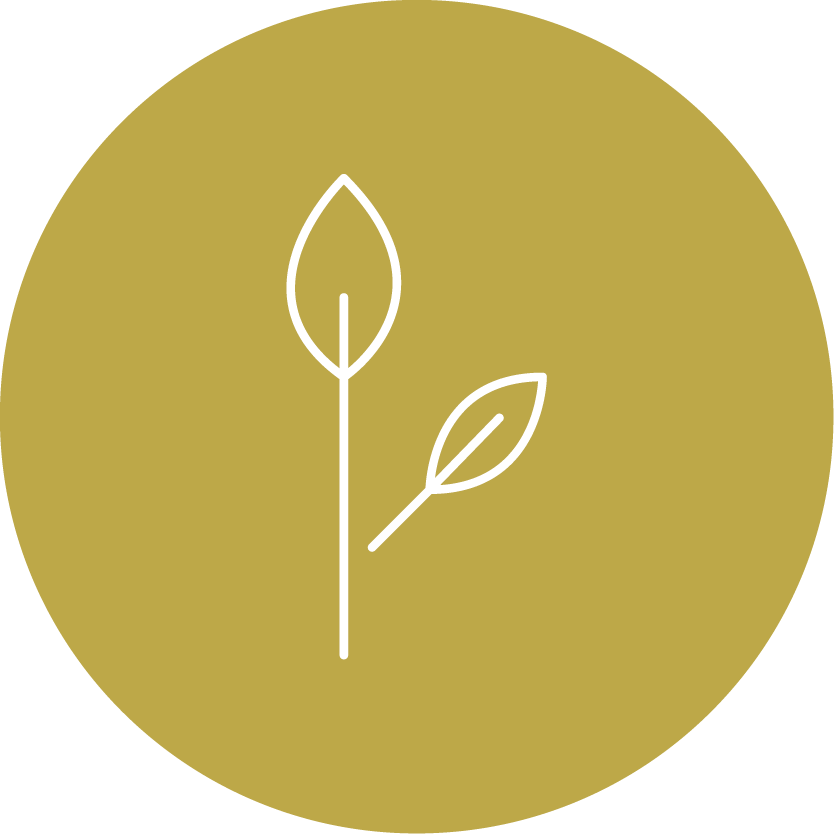 Icon verrotungsfest